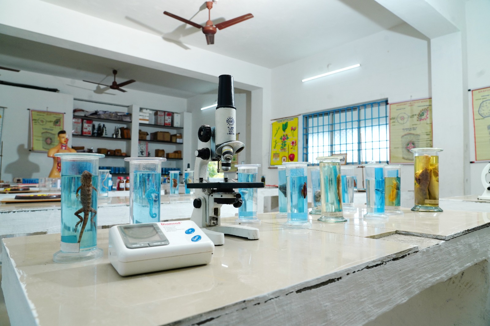 jayam vidyalaya